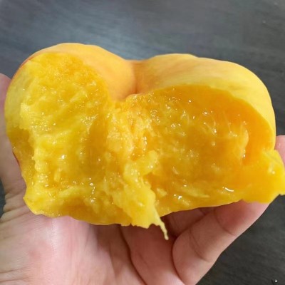 陕西黄金蟠桃新鲜水果毛蟠桃黄桃水蜜桃非黄金油蟠桃批发一件代发图2