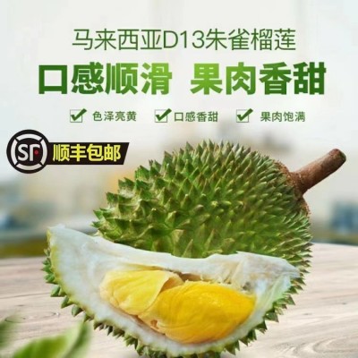顺丰包邮正宗马来西亚D13朱雀榴莲 液氮冷冻新鲜应季带壳软糯香甜图3