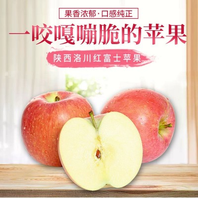 美域高苹果 洛川苹果 洛川红富士苹果 陕西苹果 散货苹果图2