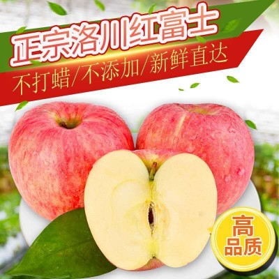 美域高苹果 洛川苹果 洛川红富士苹果 陕西苹果 散货苹果图3