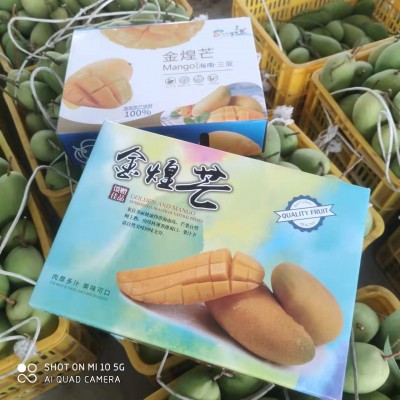 广西金煌芒应季新鲜孕妇水果软糯香甜大芒果3/5/9斤图4