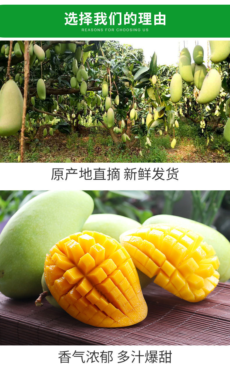 微信图片_202102262311255