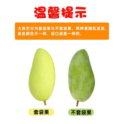 产地直供越南大青芒9斤整箱金煌大芒果青芒当季水果 新鲜芒果批发图4