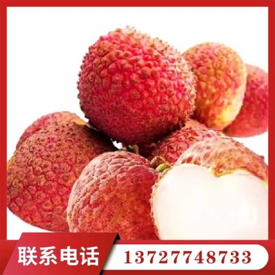 果之缘种植专业合作社出售批发各种品种荔枝 2000斤起批图4