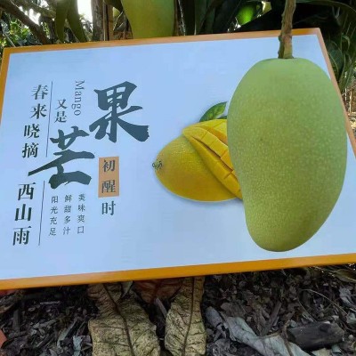 果园产地直发海南三亚金煌芒水仙芒送礼应季水果礼盒装代发顺丰图4
