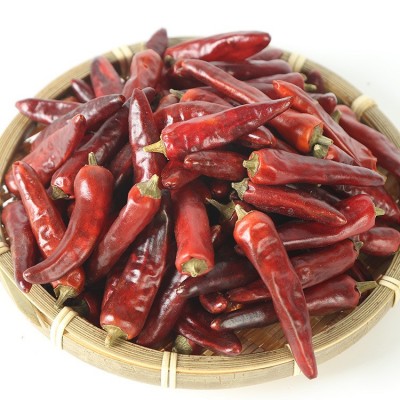 重庆特产 石柱红3号干辣椒 特香特辣 新货 卤菜火锅调味品500g图4