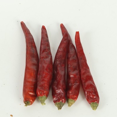重庆特产 石柱红5号干辣椒 特香高辣 新货 卤菜火锅调味品图2