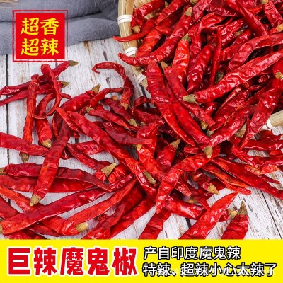 超辣辣椒 印度魔鬼辣椒香辣特辣干辣椒可磨辣椒粉面切辣椒段图3