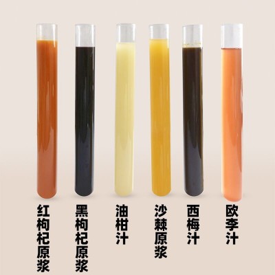 云海宸溪中宁头茬苟杞汁宁夏鲜枸杞 汁瓶装300ml枸杞原浆分销批发图2