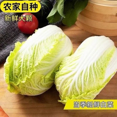 新鲜大白菜3/5斤包心大娃娃菜当季农家蔬菜青菜整棵箱特产批包邮图2