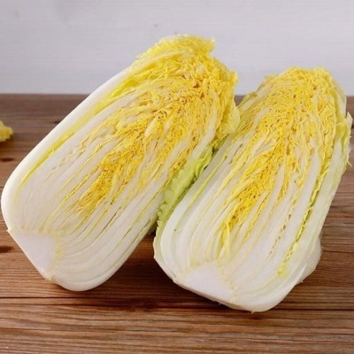 直供娃娃菜新鲜蔬菜农家现摘现发小颗白菜嫩滑爽口图2