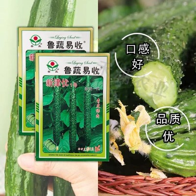 黄瓜种子高产春夏秋季耐热绿瓢密刺黄瓜种籽庭院四季阳台蔬菜种子图2