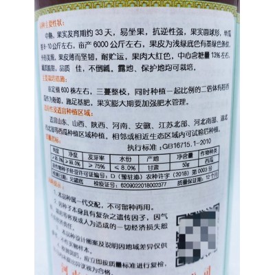 金花三号无籽西瓜种子特大高产巨型甜王南方春季四季蔬菜水果种孑图4