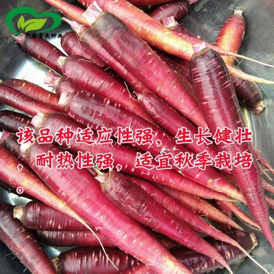 四季奶油草莓种子 农田菜园盆栽种植奶油红草莓籽鲜甜多只图3