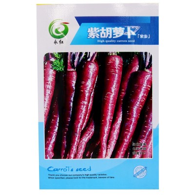 四季奶油草莓种子 农田菜园盆栽种植奶油红草莓籽鲜甜多只图5