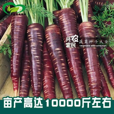 四季奶油草莓种子 农田菜园盆栽种植奶油红草莓籽鲜甜多只图2