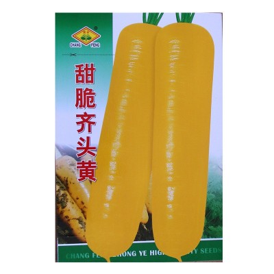 甜脆齐头黄胡萝卜种子农田菜园长势强肉质细嫩甜脆黄胡萝卜蔬菜籽图5