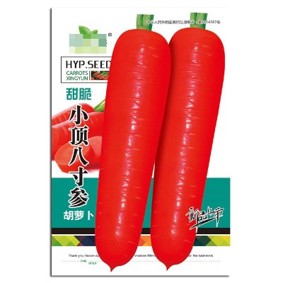 甜脆小顶八寸参胡萝卜种子 农田菜园膨大快桔红嫩脆胡萝卜籽图5