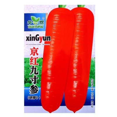 京红九寸参红胡萝卜种子 农田盆栽脆甜红皮红心易储藏胡萝卜籽图5