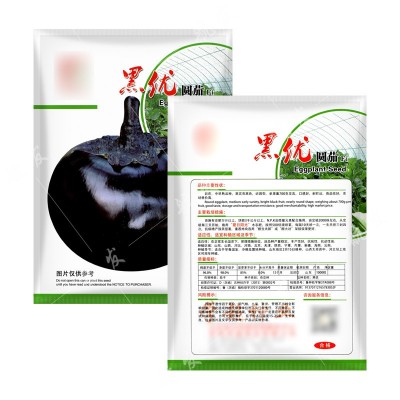 丰产黑色特大圆茄种子抗病好产量高阳台大棚四季蔬菜种子圆茄种籽图4