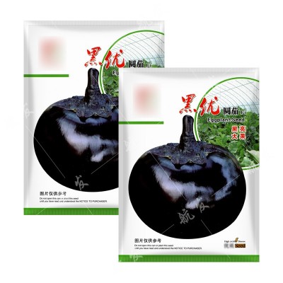丰产黑色特大圆茄种子抗病好产量高阳台大棚四季蔬菜种子圆茄种籽图2