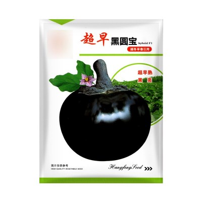 圆茄种子孑丰产紫黑色特大圆茄蔬菜种子春秋易种抗病好种苗茄种籽图2