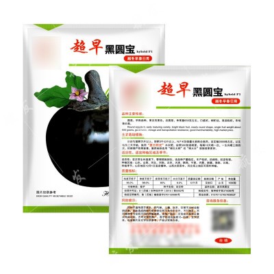 圆茄种子孑丰产紫黑色特大圆茄蔬菜种子春秋易种抗病好种苗茄种籽图4