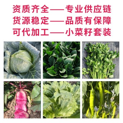 蔬菜种子批发辣椒种子茄子西红柿青菜四季阳台盆栽春季蔬菜种籽图4