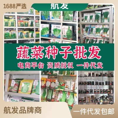 蔬菜种子批发辣椒种子茄子西红柿青菜四季阳台盆栽春季蔬菜种籽图3
