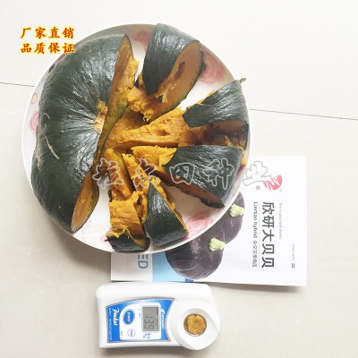 欣研大贝贝南瓜种子南瓜种子 板栗南瓜种子味甘面甜 绿蔬菜种子图3