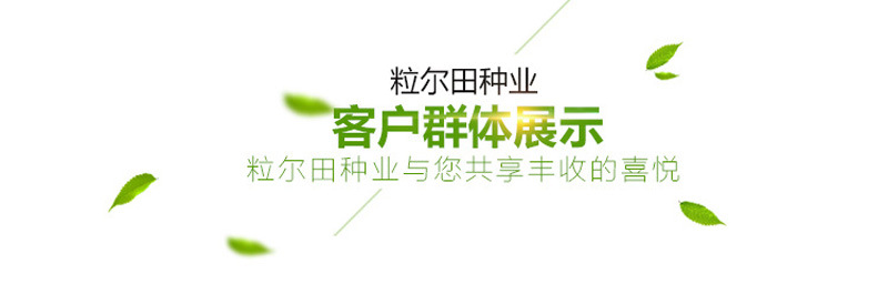 蜜本王南瓜_10.jpg