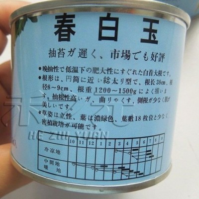 春不老九斤王白萝卜萝卜种子特大水果萝卜夏秋季耐寒种籽农家种孑图4