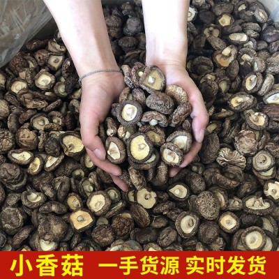 云南楷美小香菇干货南北干货珍珠菇迷你小香菇煲汤料包食材可代发图2