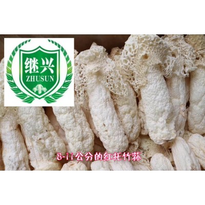 织金竹荪 肉质细腻 营养丰富 750元/千克 11-13cm图5