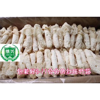 织金竹荪 肉质细腻 营养丰富 750元/千克 11-13cm图3