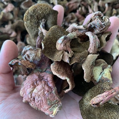 云南野生菌菇红乳牛肝菌干货非新鲜牛肝菌四川云南特产松菌1000g图2