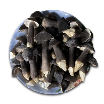 黑帽鸡枞云南特产批发菌菇煲汤菌汤包15g鸡枞干货FD冻干黑皮鸡枞图5