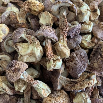 新货姬松茸干货云南特产精选松茸菌巴西菇蘑菇菌菇菌菇煲汤500g图3