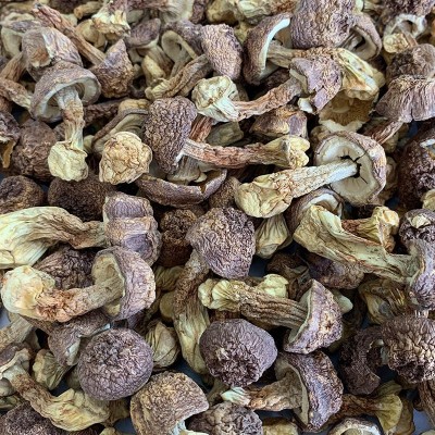 新货姬松茸干货云南特产精选松茸菌巴西菇蘑菇菌菇菌菇煲汤500g图4