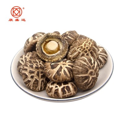 康旺 古田花菇椴木花菇白香菇蘑菇干货散装500g 源头厂家直销批发图3