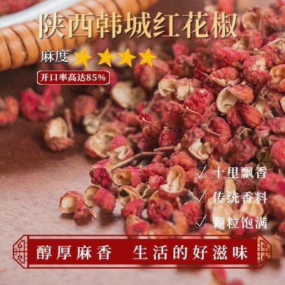 花椒四川汉源红花椒茂汶大红袍青花椒甘肃武都陕西特香特麻批发图3