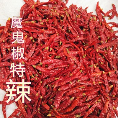 印度椒 特辣干辣椒 印度魔鬼椒涮涮辣 火锅调味品 500g现货批发图1