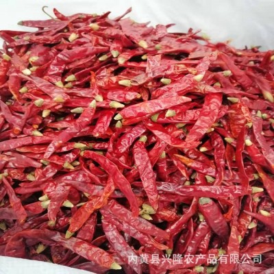 印度椒 特辣干辣椒 印度魔鬼椒涮涮辣 火锅调味品 500g现货批发图4
