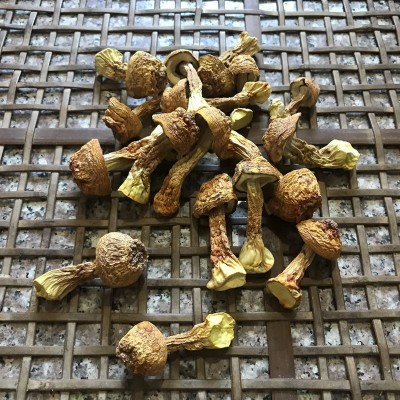 姬松茸干货500g大量批发新货姬松茸云南特产姬松茸干货巴西菇图2