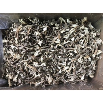 鹿茸菇鹿茸菌干货原件土特产农副产品食用菌酒店食材批发产地直供图3