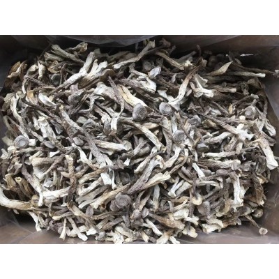 鹿茸菇鹿茸菌干货原件土特产农副产品食用菌酒店食材批发产地直供图4