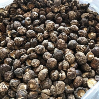 福建特产茶花菇干货批发500g2-3cm散装批发香菇干古田工厂直供图3