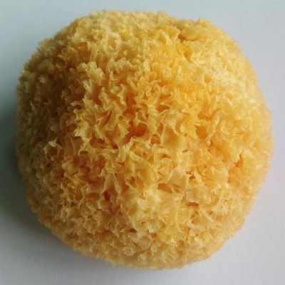 古田银耳白木耳丑耳干货 质稠胶糯不熏硫丑耳250g农产品厂家批发图2