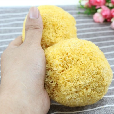 古田银耳 丑耳 金耳批发厂家直销可挑选各种高品质菌菇干货批发图2