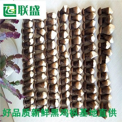金乡县联盛菌业科技有限公司 黑皮鸡枞菌种植基地图2